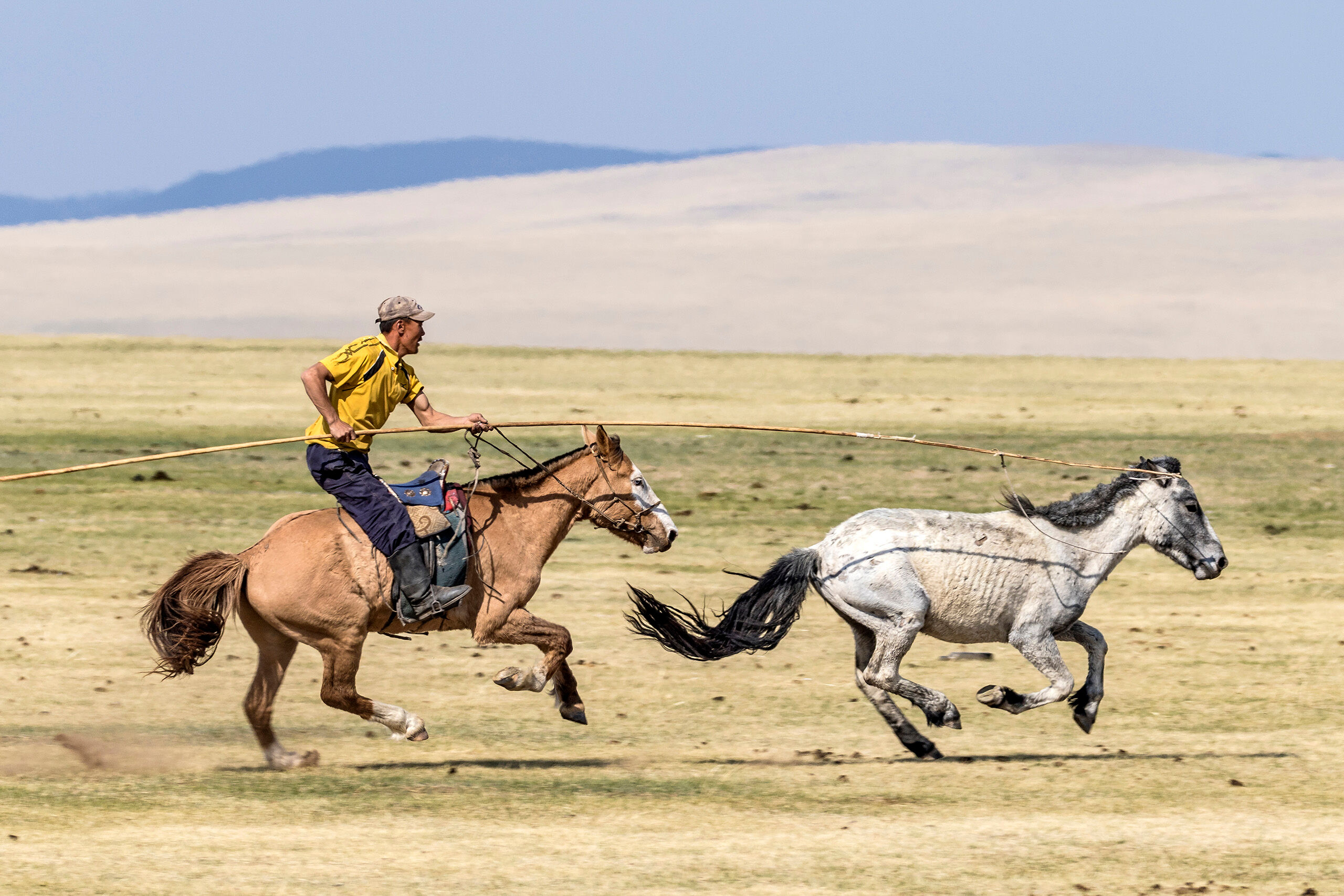 Catch Me If You Can Tourism in Mongolia is unlike anywhere else I've traveled. The industry is new and small. While tour groups with English-speaking...