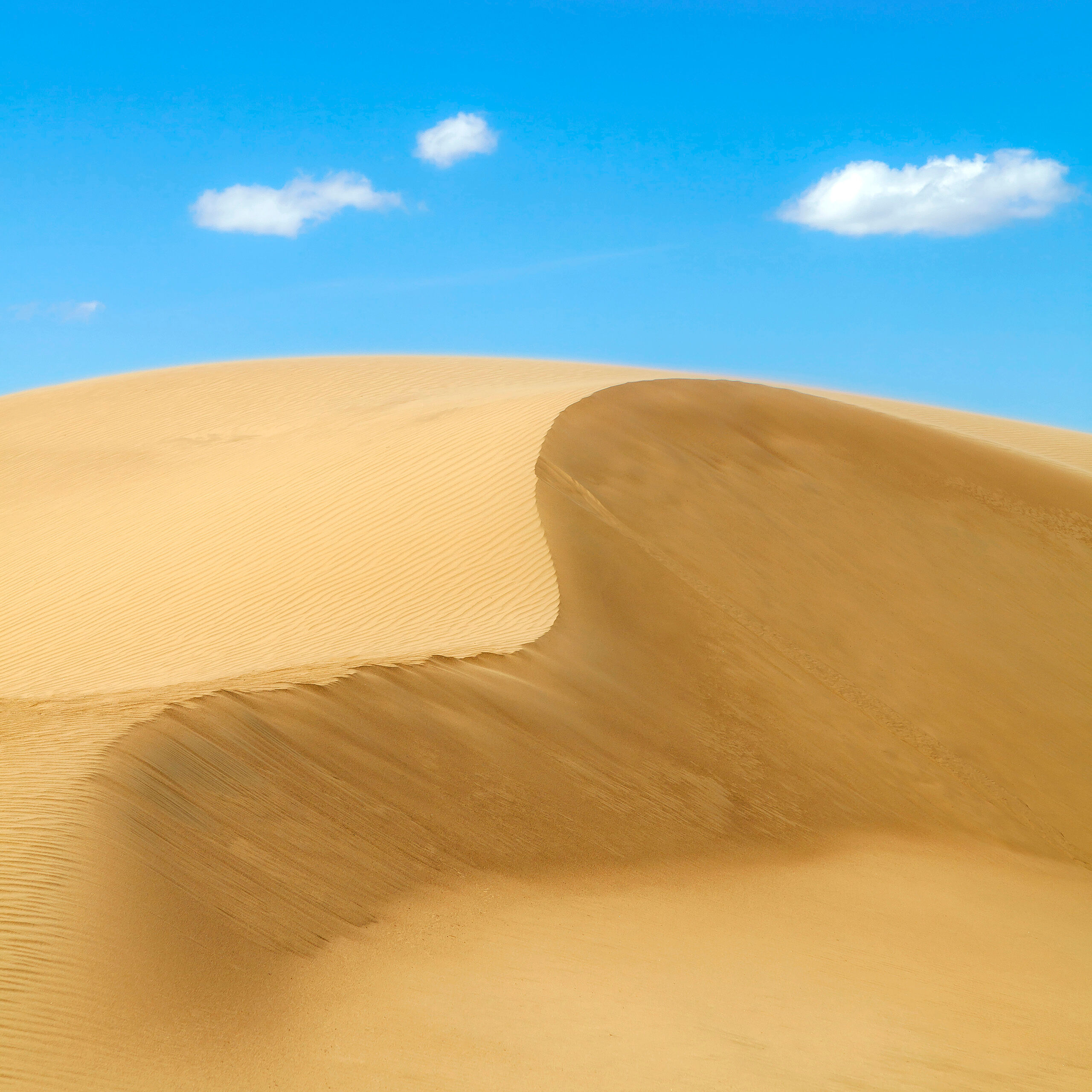 Mini Gobi Square The time and money I had set aside for my travels in Mongolia in 2015 allowed me to see some wonderful, beautiful places, and...
