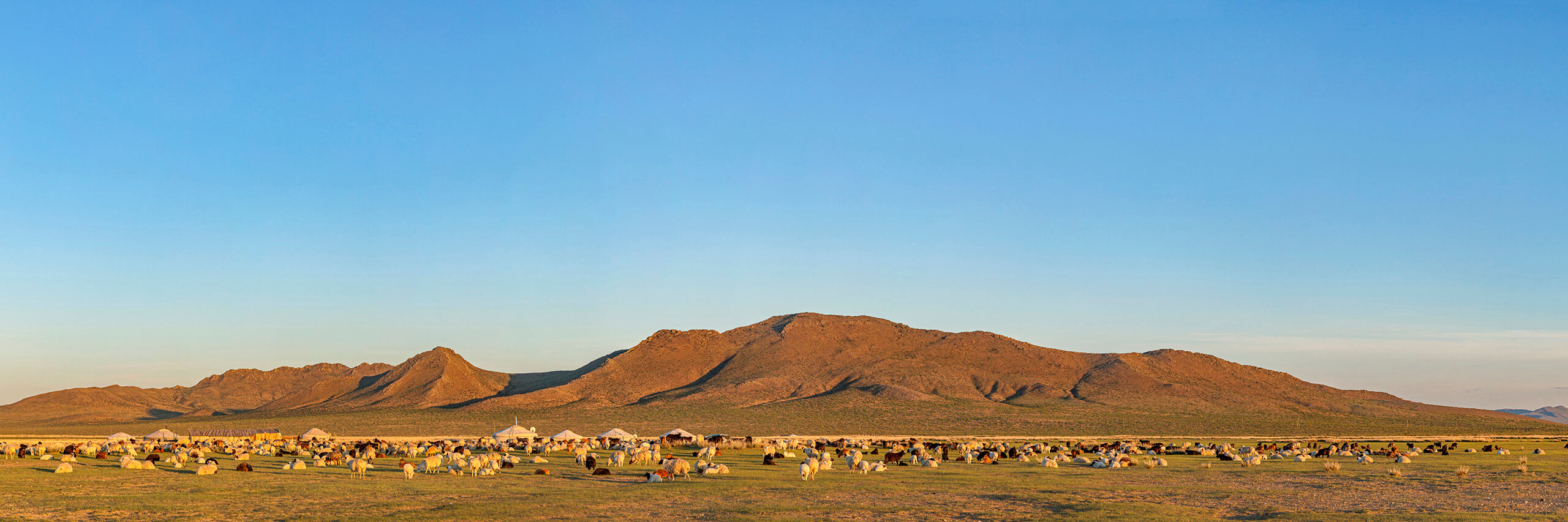 Nomad Lifestyle I took this photo at sunset on my second-to-last night in Mongolia, during my 2015 visit. I stayed with the family whose yurts...