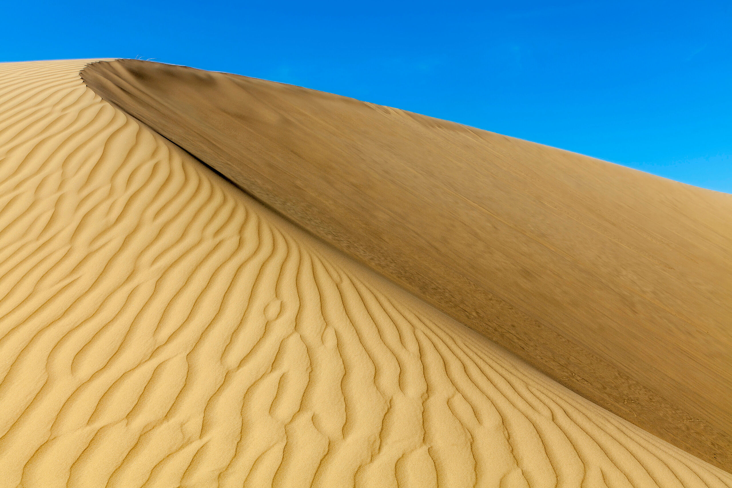 Perfect Sand Dune The time and money I had set aside for my travels in Mongolia in 2015 allowed me to see some wonderful, beautiful places, and...