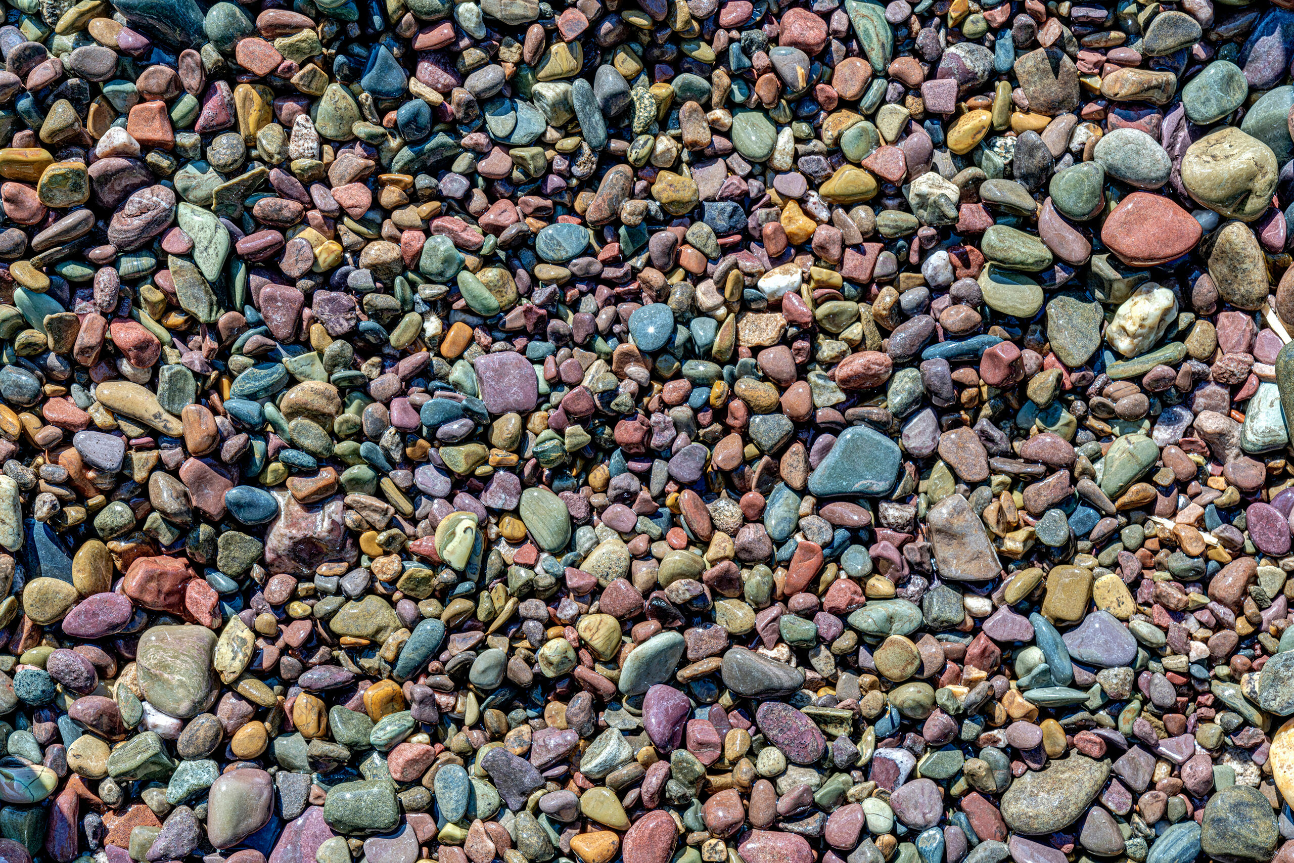 All the Colors of the Rainbow Glacier National Park is probably best-known for its (disappearing) glaciers, beautiful lakes, mountain vistas, and wildlife....