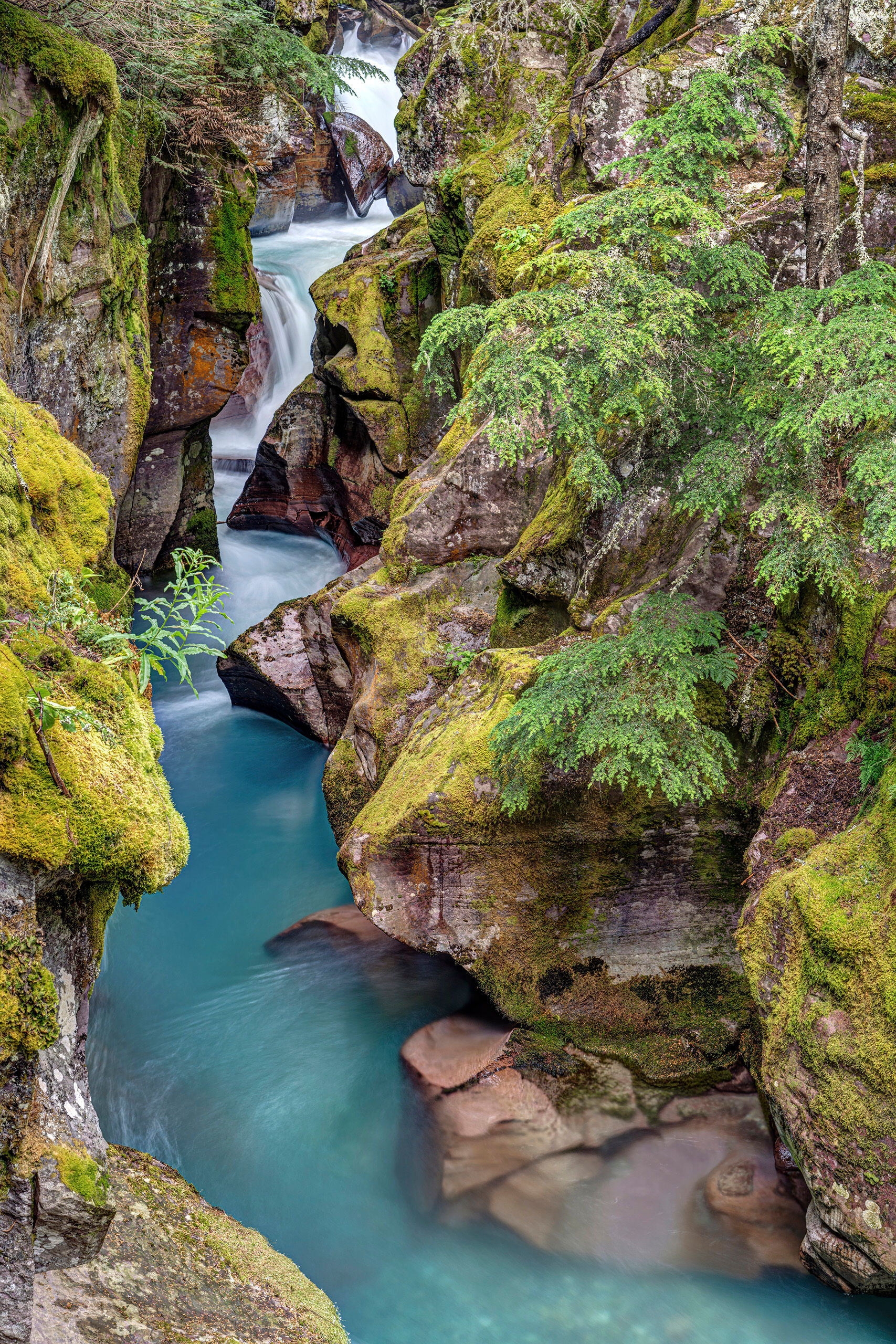 Avalanche Creek Falls Glacial runoff often shows up in unusual colors. I've seen nearly white glacial melt before, as well as water that has this...