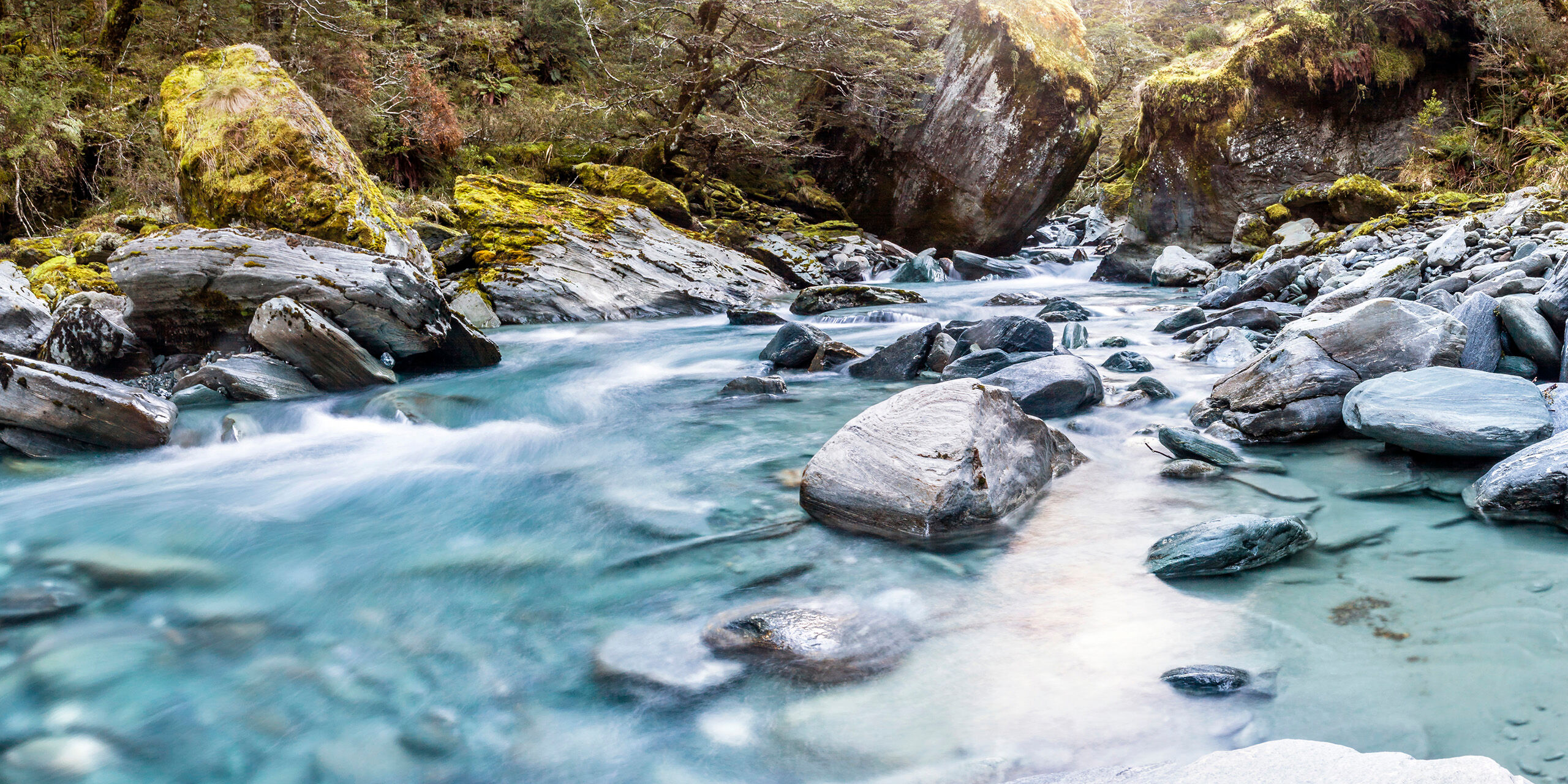 Rob Roy Valley The Rob Roy track, on New Zealand's South Island, is a relatively easy 6-mile round trip hike that takes one, ultimately, to...