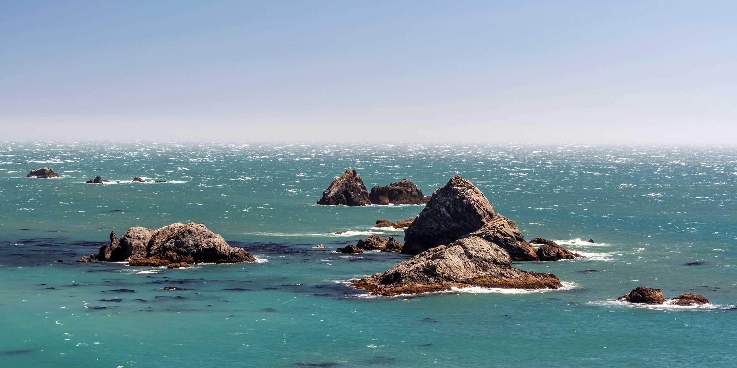 Harris Beach One of the general things I was most looking forward to during my July, 2018 whirlwind tour of the Pacific Northwest was the...