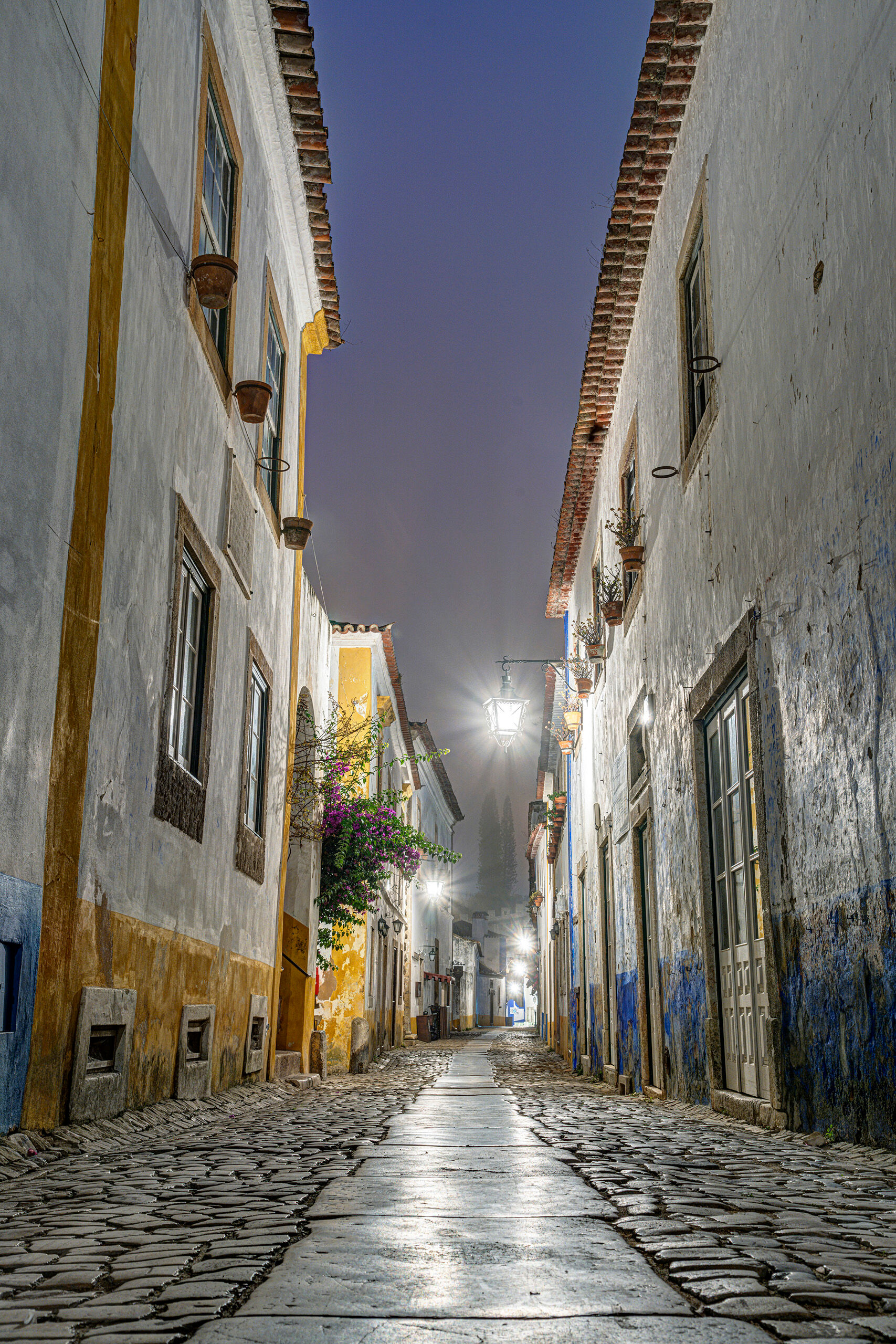 Óbidos Alleyway Obidos … where do I begin? My two week trip to Portugal in September 2023 started in Lisbon. After Lisbon and Sintra...