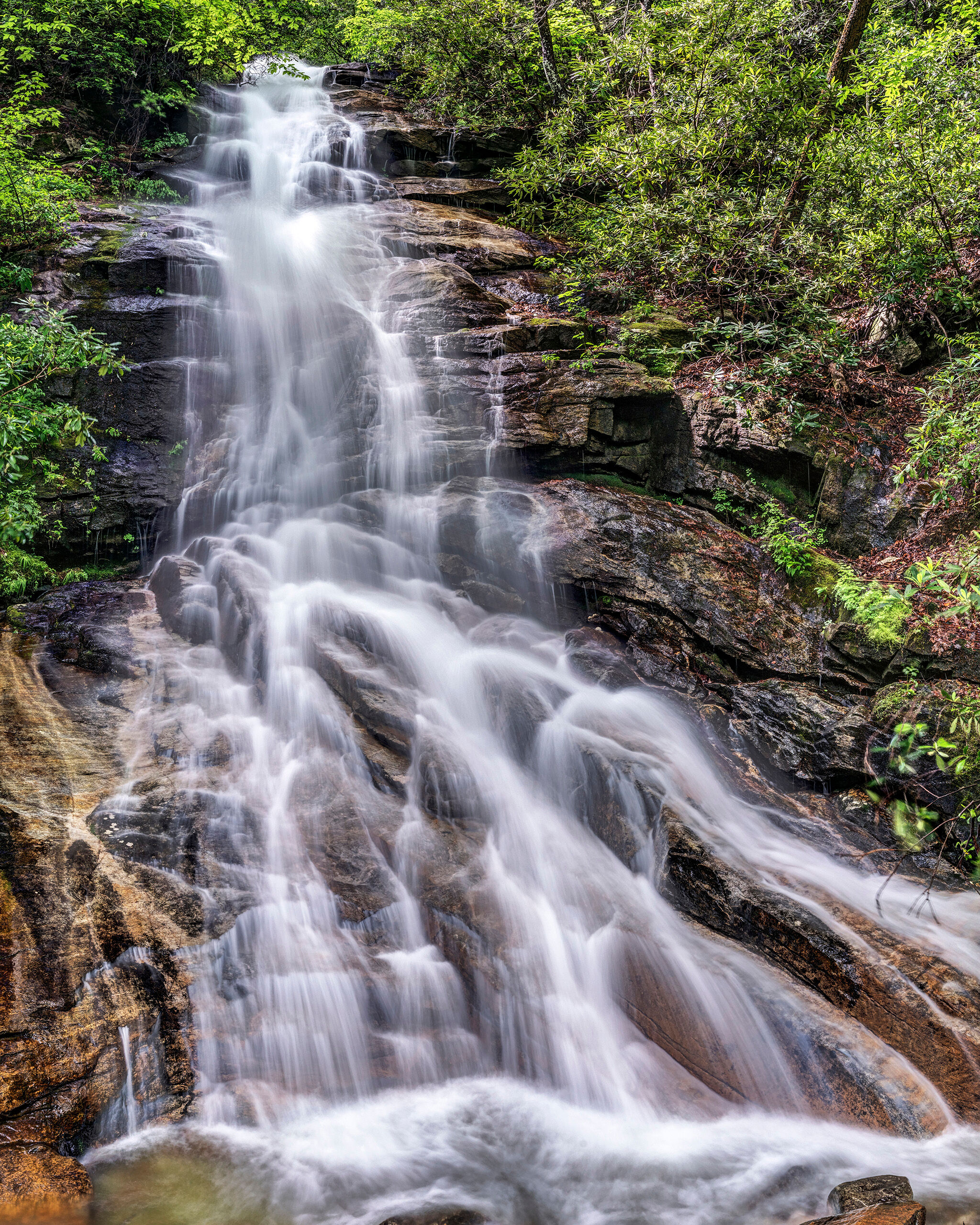 Jones Gap Falls Jones Gap State Park is a small park in South Carolina, very close to the border with North Carolina. The elevation of the park...