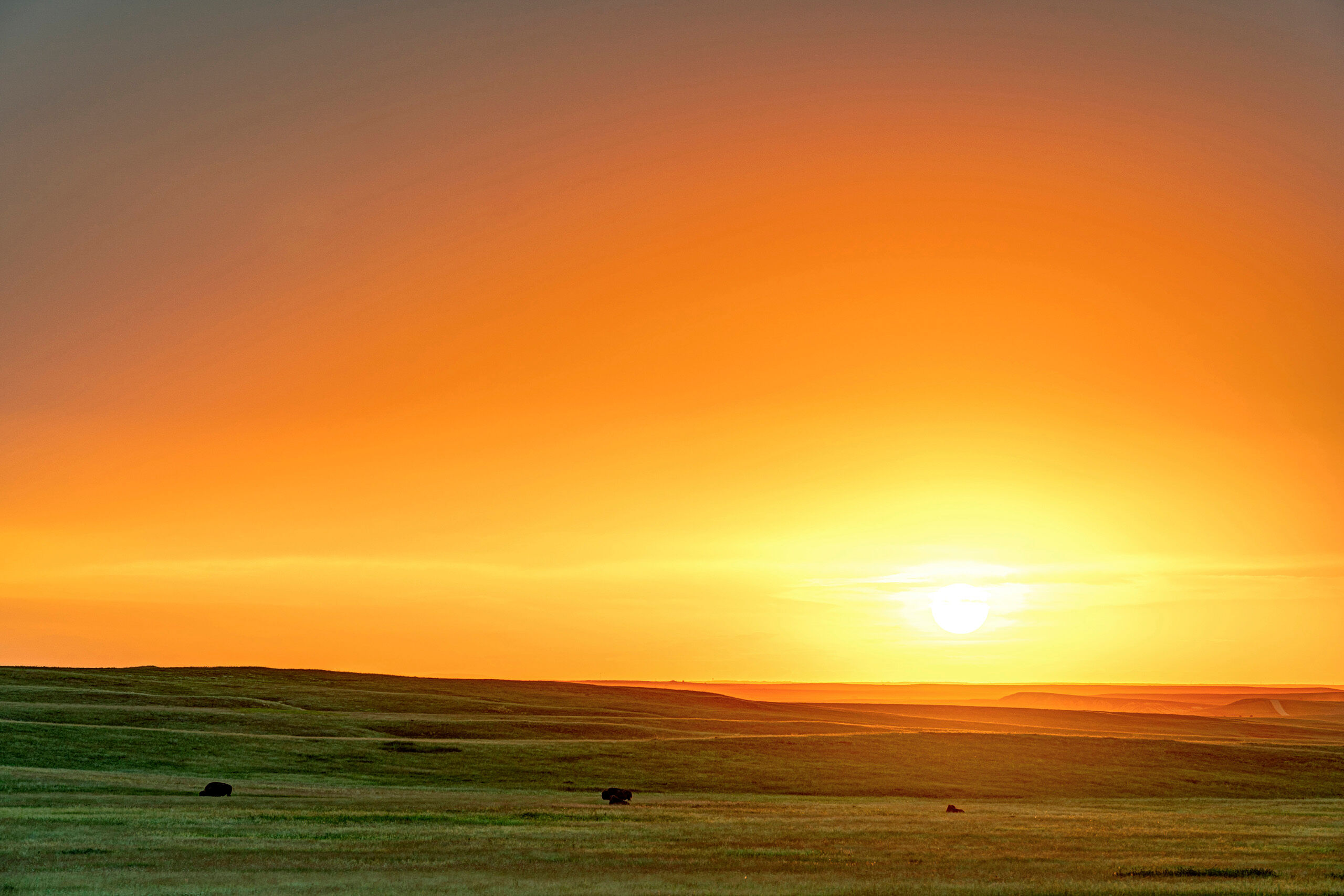 Home on the Range I spent less than 24 hours in South Dakota's Badlands National Park during the summer of 2020. This allowed me one sunset and...