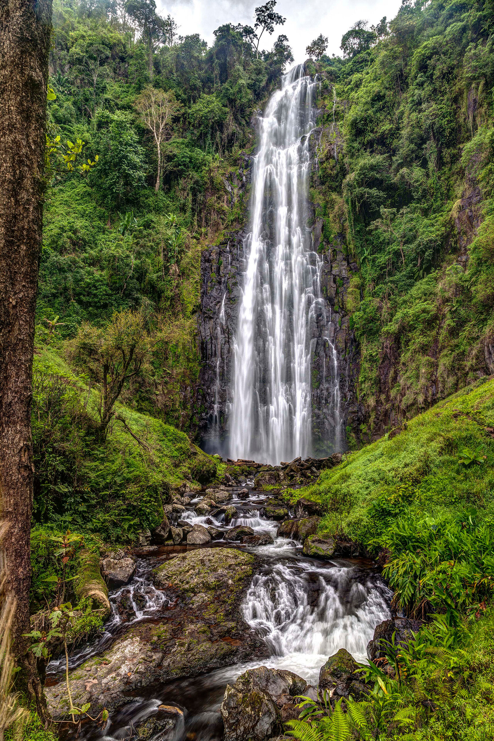 Materuni Waterfall When I think of Africa, my mind immediately goes to lions, elephants, and other large animals, and I typically envision the landscape...