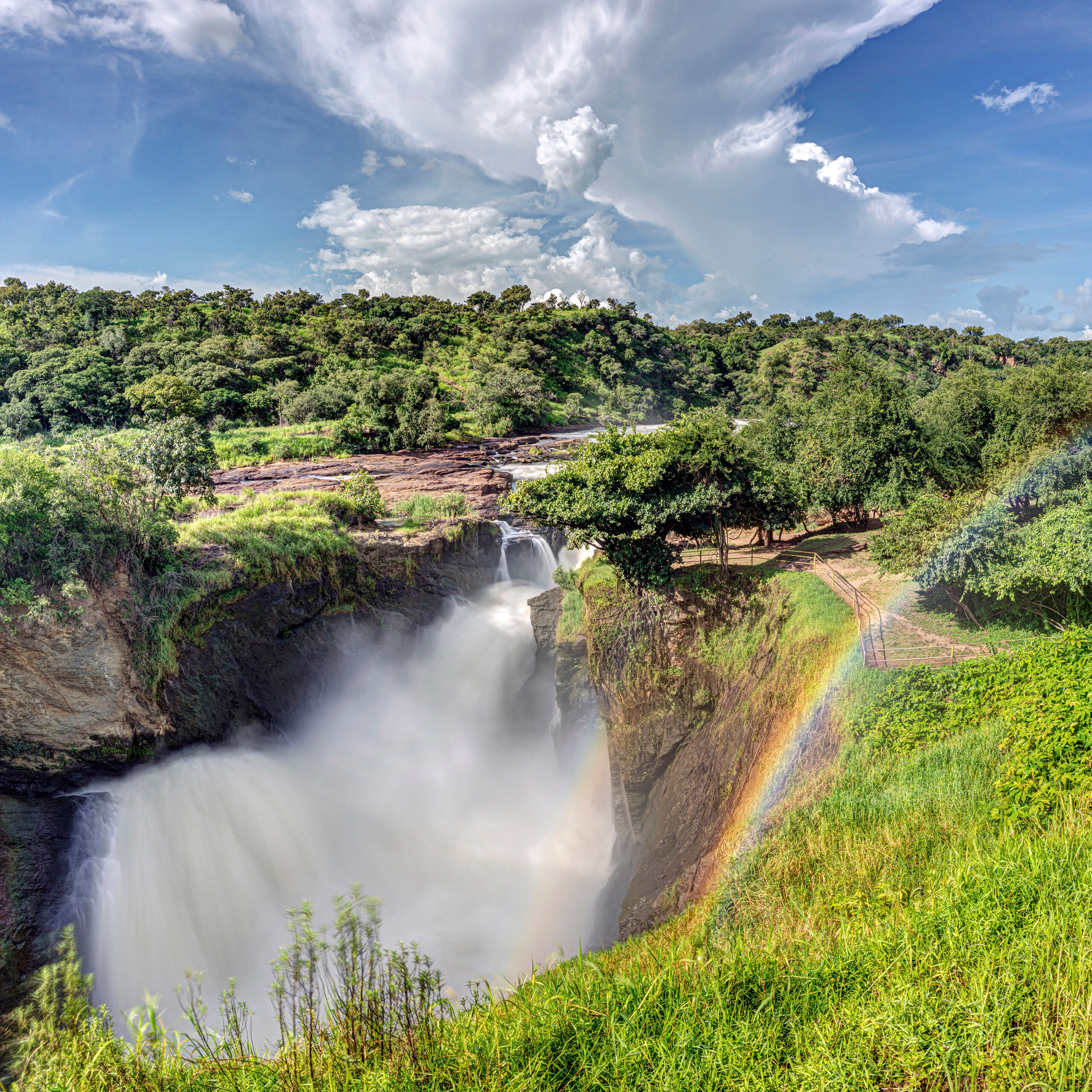 Murchison Falls Murchison Falls, shown here, was not the highlight of my visit to Murchison Falls National Park, in western Uganda. The real...