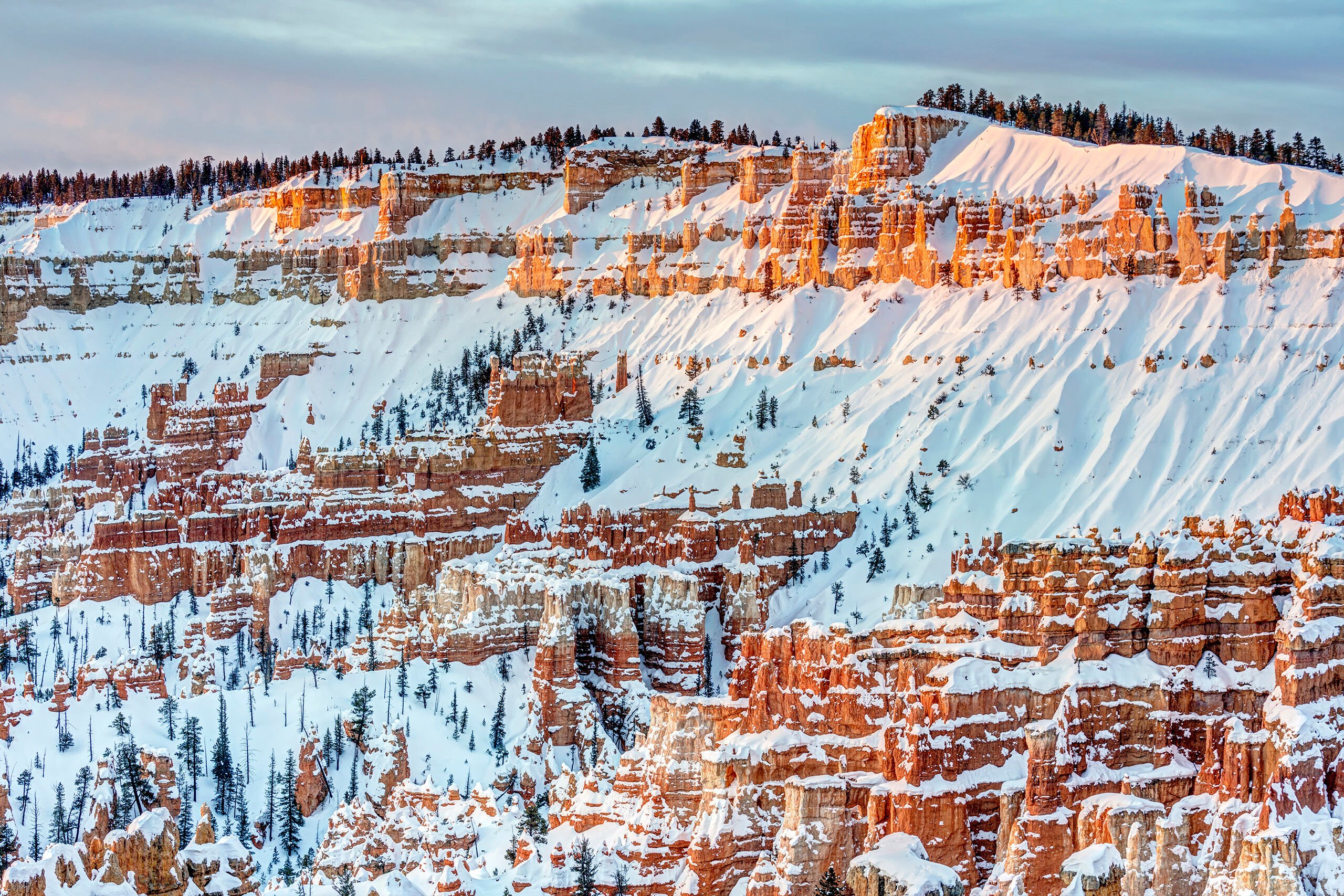 A Cold Morning in Bryce During the winter of 2019, I was an artist at the Arizona Fine Art Expo, in Scottsdale, Arizona. In mid- to late February, I...