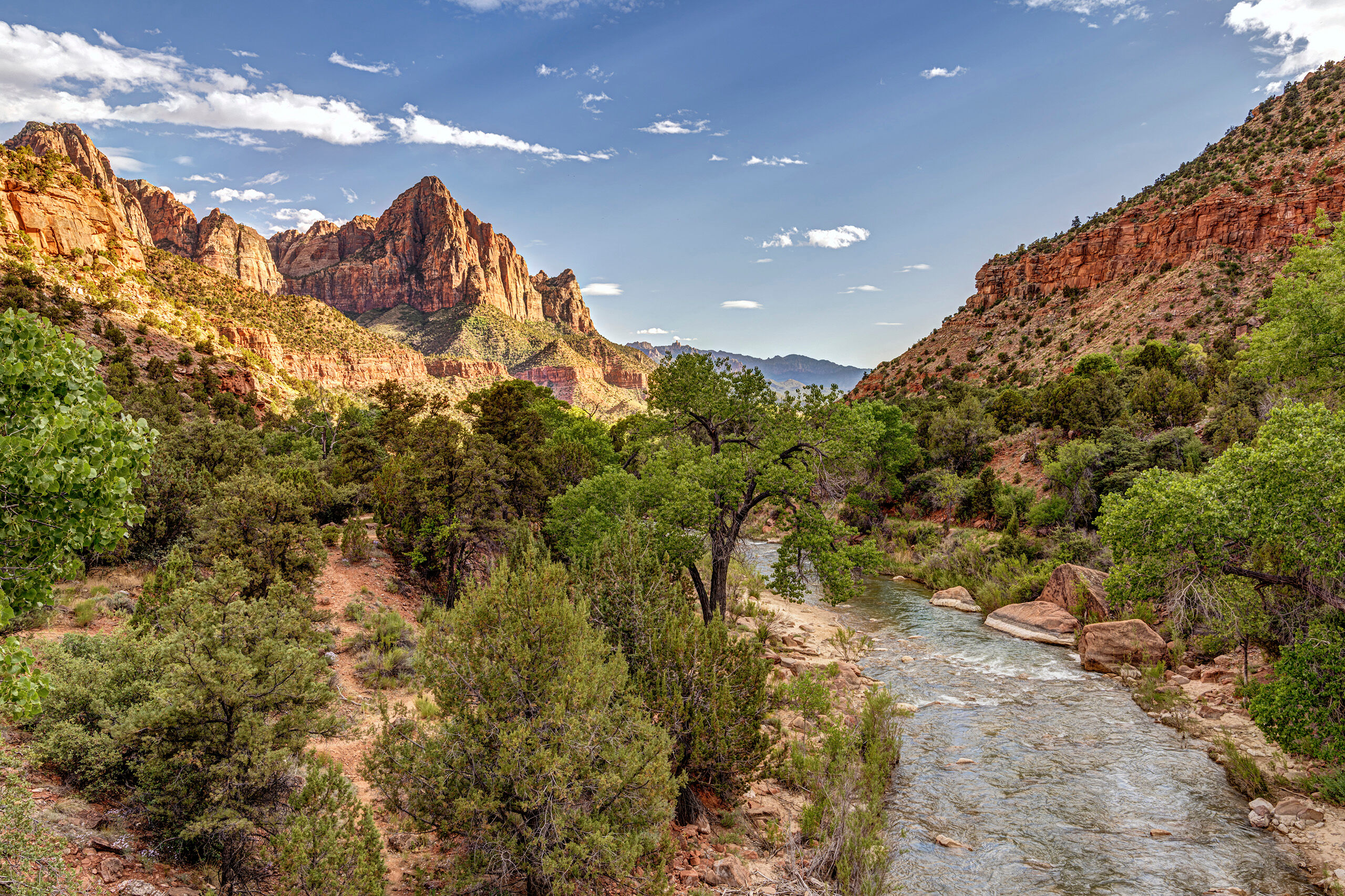 Zion's Famous Bridge View I've visited Zion many times, and it is always beautiful. I took this photo while visiting the park during the COVID-19 pandemic...