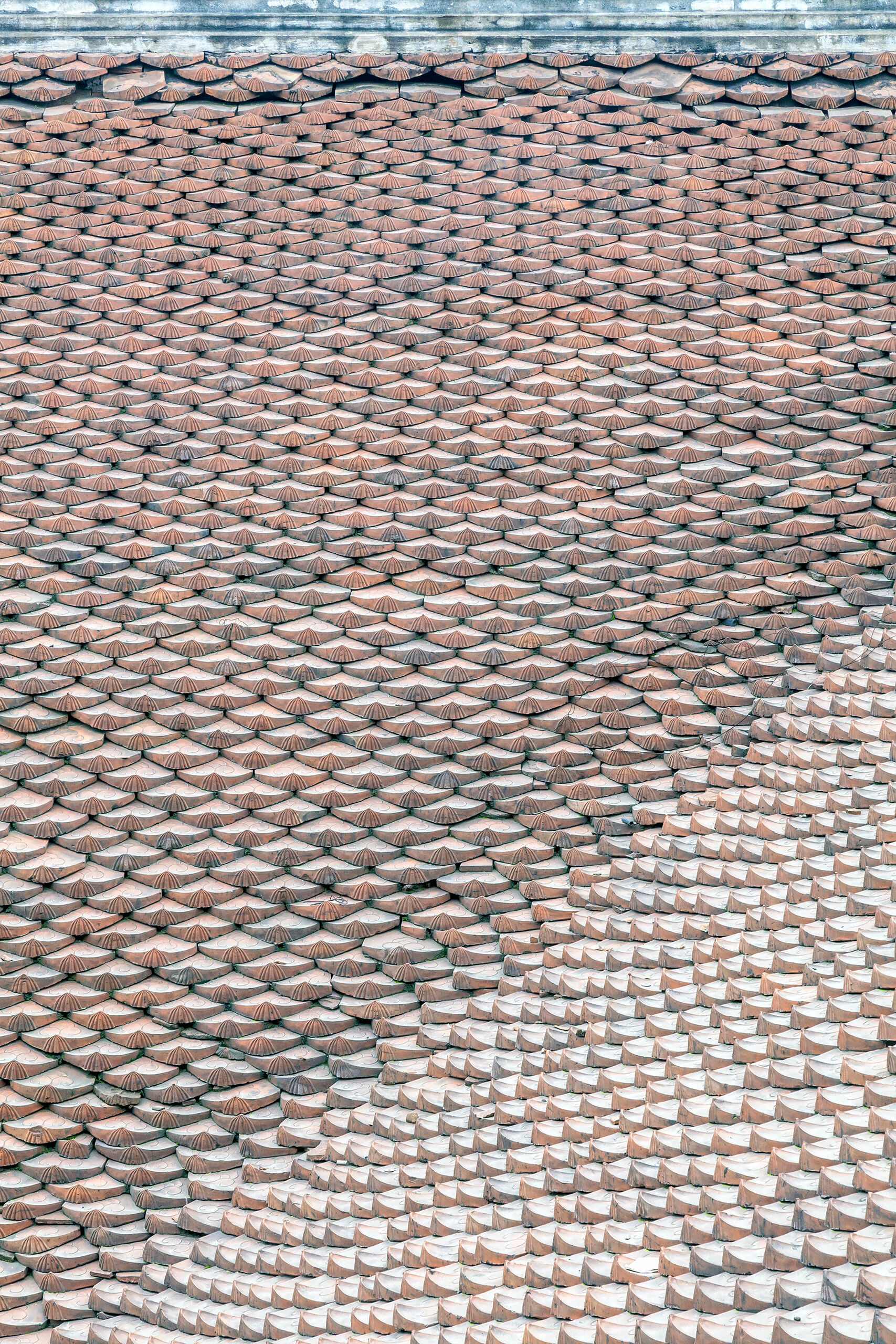Shingles I lived in Hanoi, Vietnam for a few months in early 2012. It is a bustling city, and as a photographer that focuses primarily...