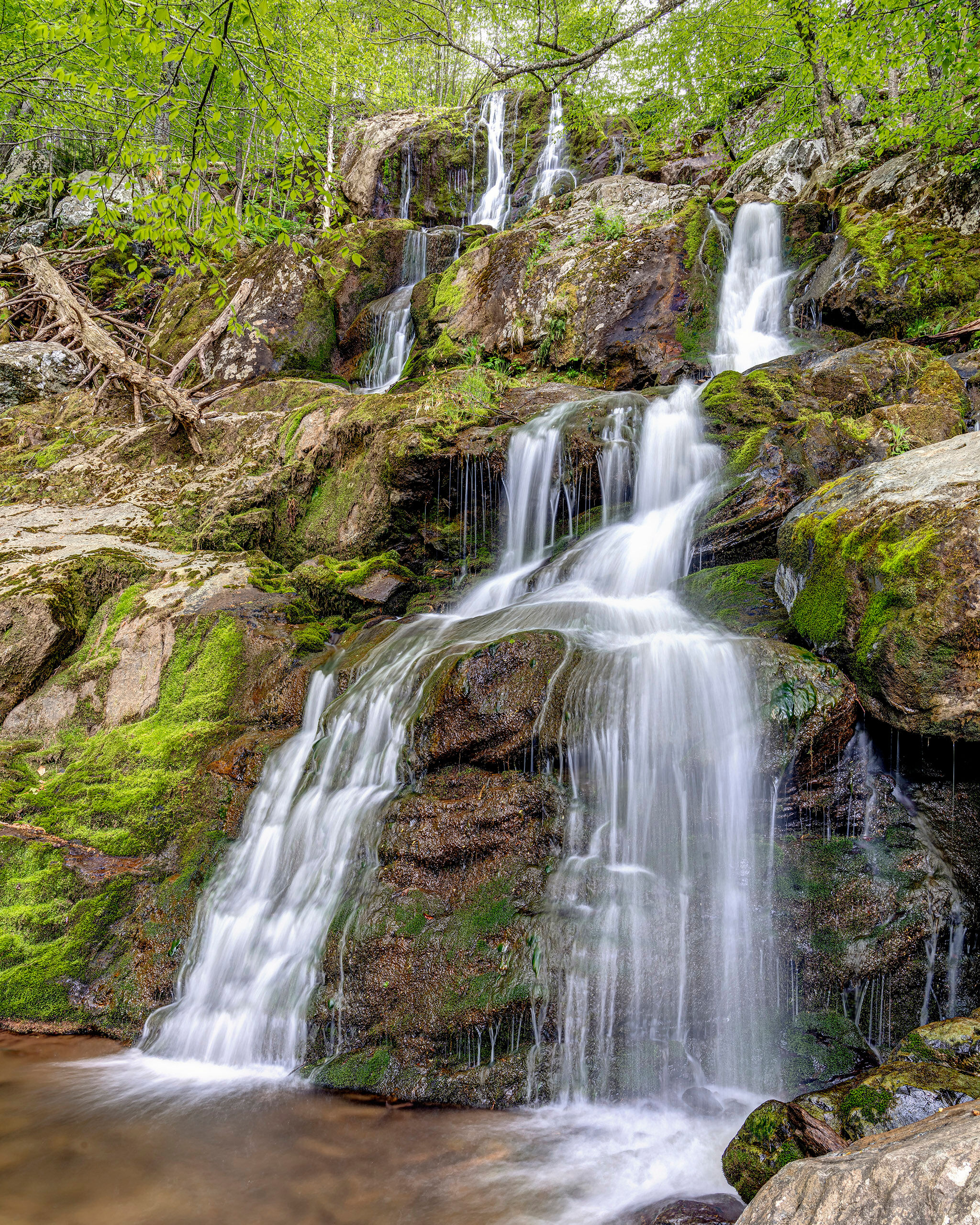 Dark Hollow Falls I love Shenandoah National Park. Whenever I find myself in the area, I try to get there for a day or two. I was attending some...