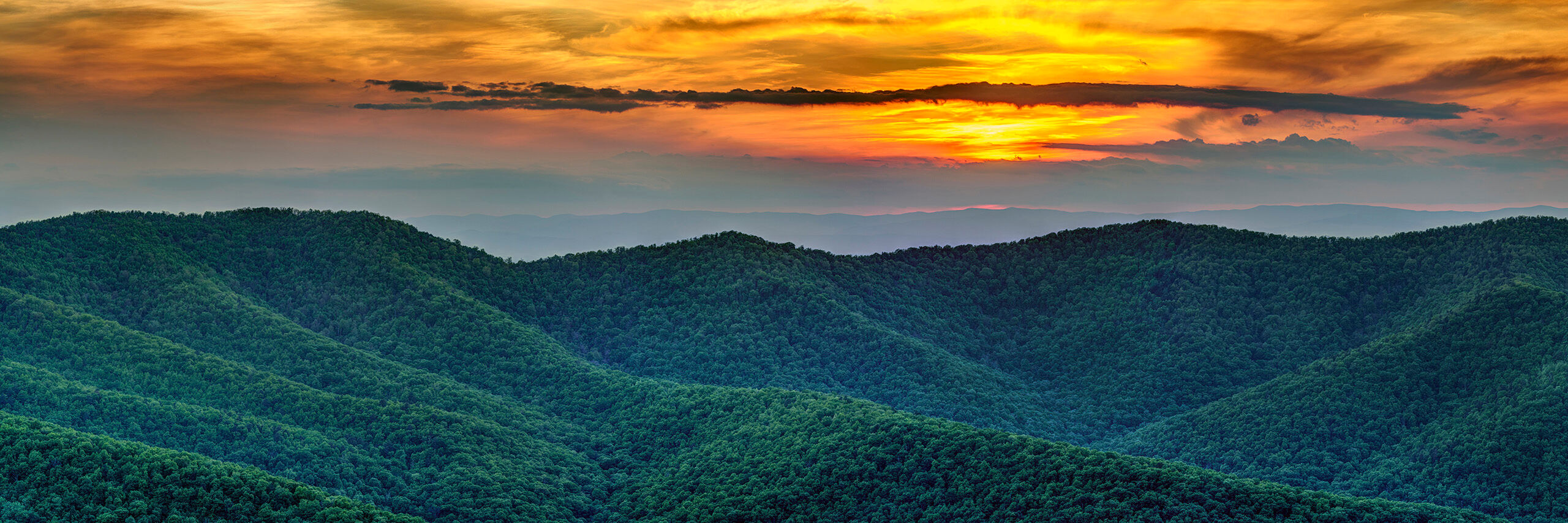 Orange and Green I love Shenandoah National Park. Whenever I find myself in the area, I try to get there for a day or two. I was attending some...