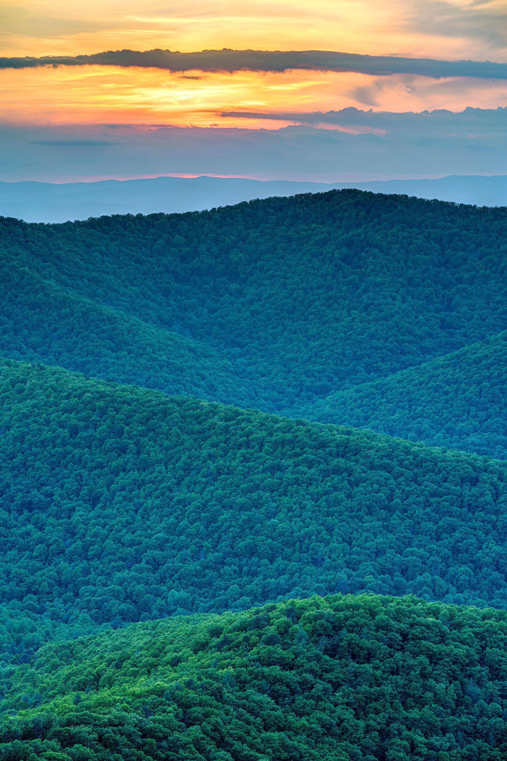 Shenandoah Portrait I love Shenandoah National Park. Whenever I find myself in the area, I try to get there for a day or two. I was attending some...