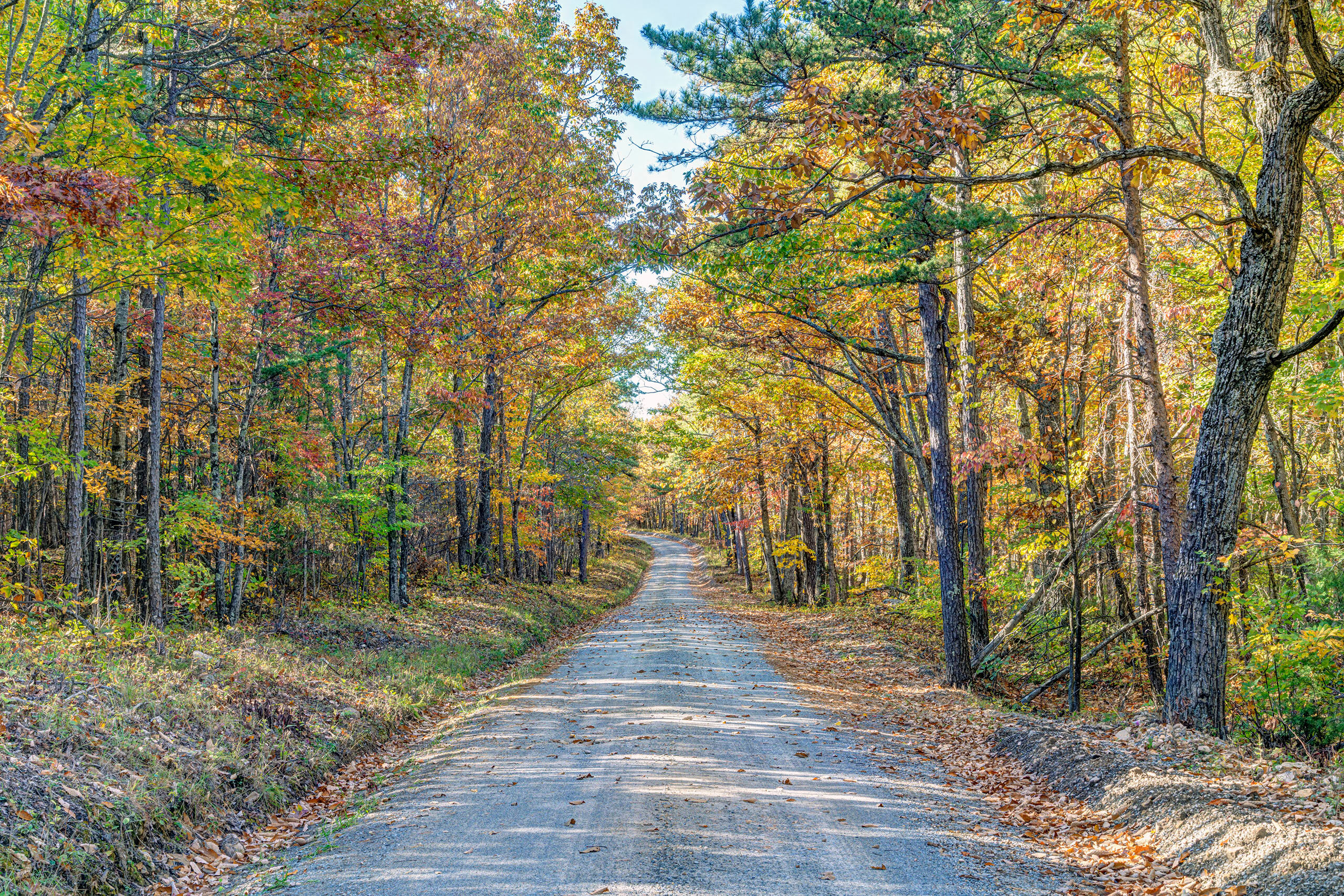 The Golden Corridor I was driving to visit my parents in Virginia in the fall of 2025, and my route rook me near George Washington and Jefferson...