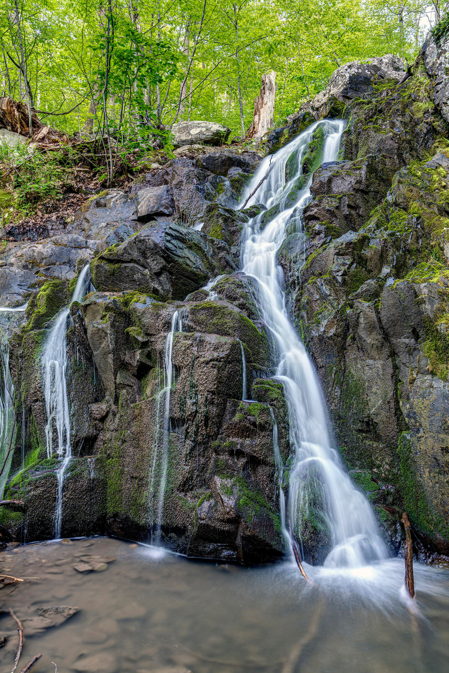 Upper Overrun Falls I love Shenandoah National Park. Whenever I find myself in the area, I try to get there for a day or two. I was attending some...