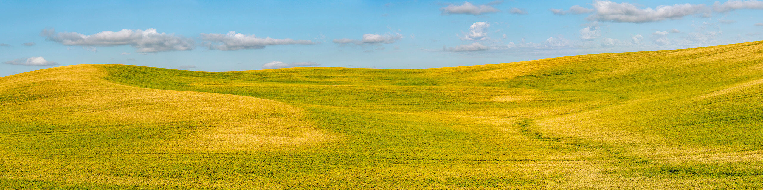 Rolling Farmland Ultrawide