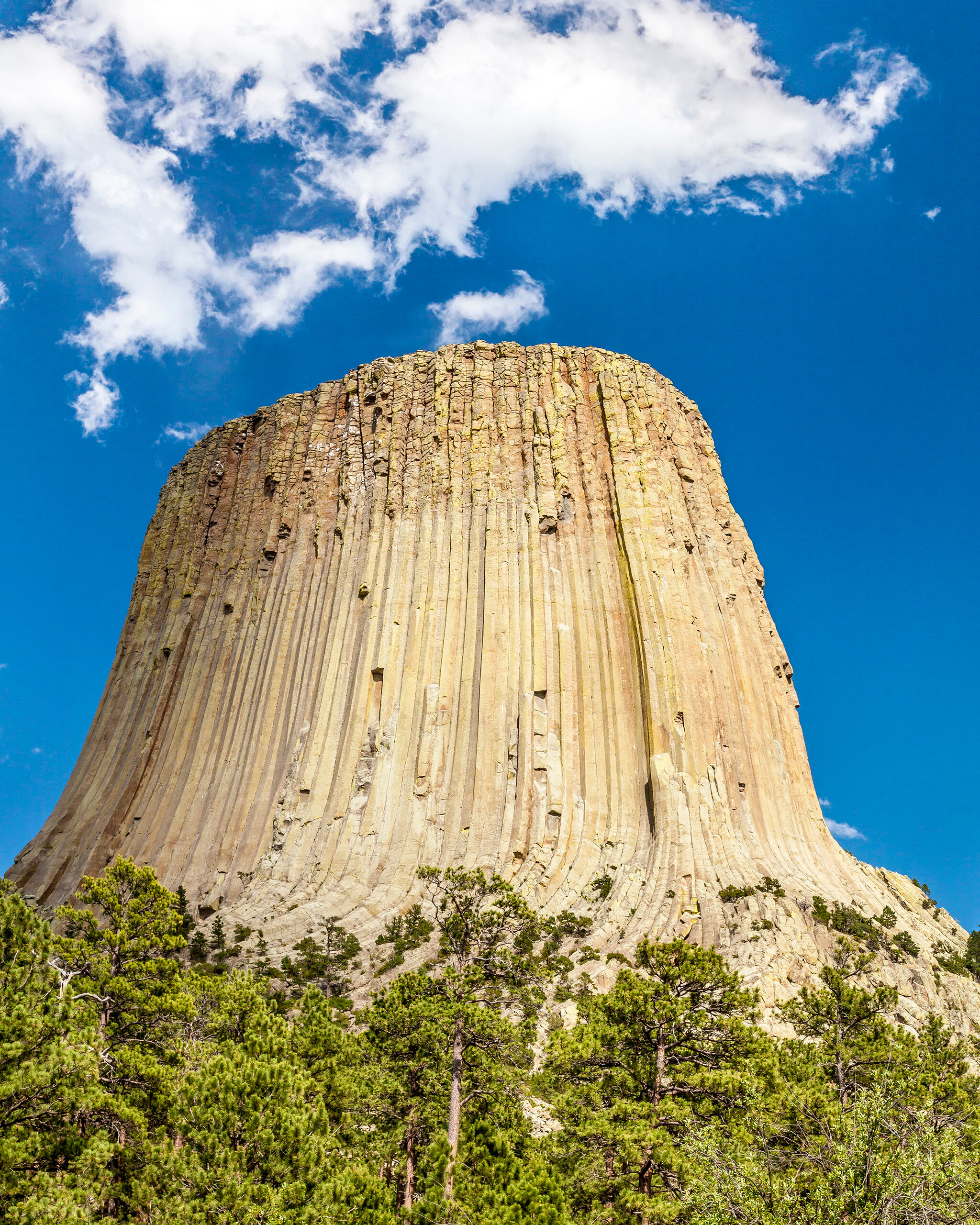 Afternoon at Devils Tower Devils Tower, which rises 1,267 feet above the surrounding land, was the first declared US National Monument, established by...