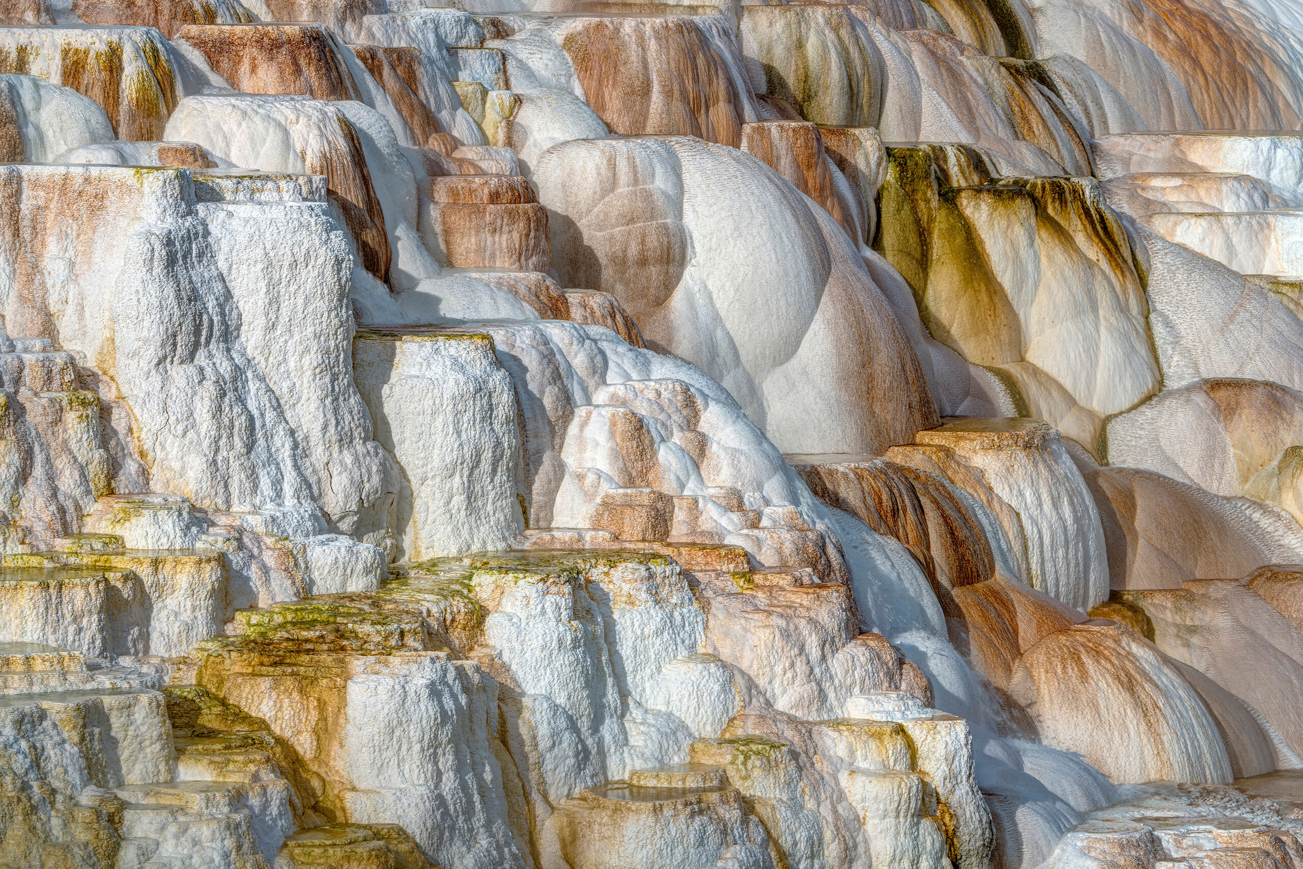Canary Hot Spring Mammoth Hot Springs, in Yellowstone National Park, Wyoming, is constantly changing. There are different springs bubbling, and...