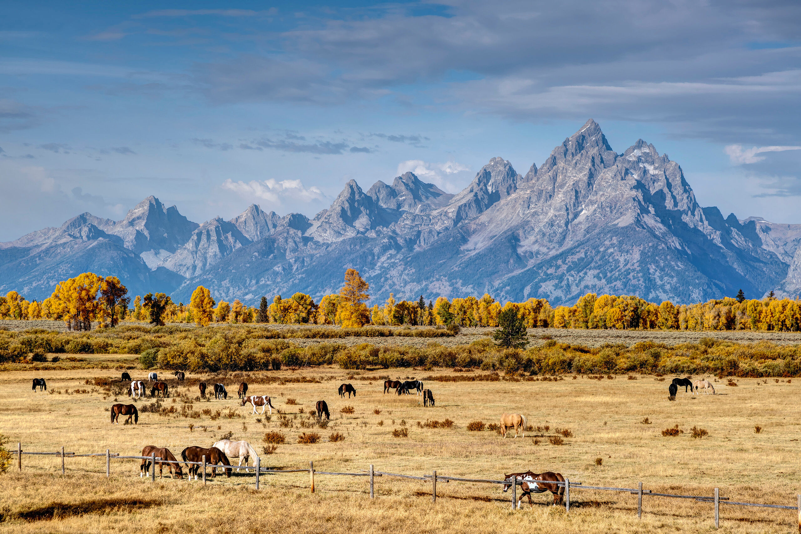 Elk Ranch Flats The view from the Elk Ranch Flats roadside pulloff in Grand Teton National Park is almost comedic in how picturesque it is....