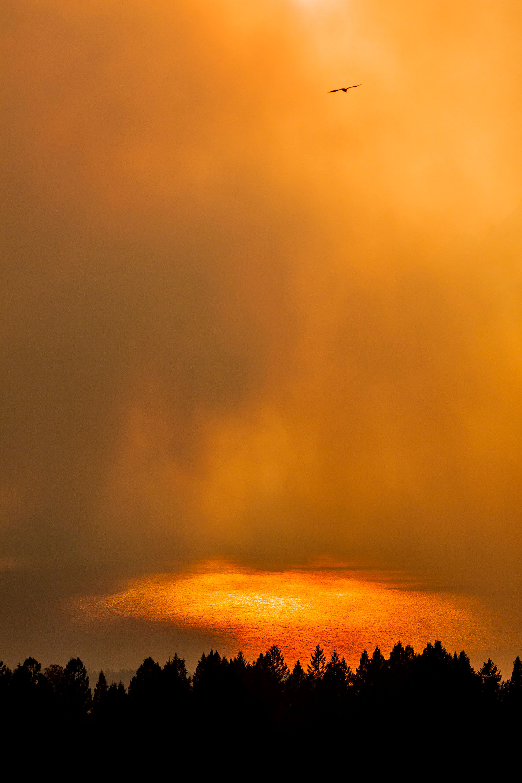 Inferno I visited Yellowstone and Grand Teton National Parks in late September, 2009. There were several small forest fires happening...