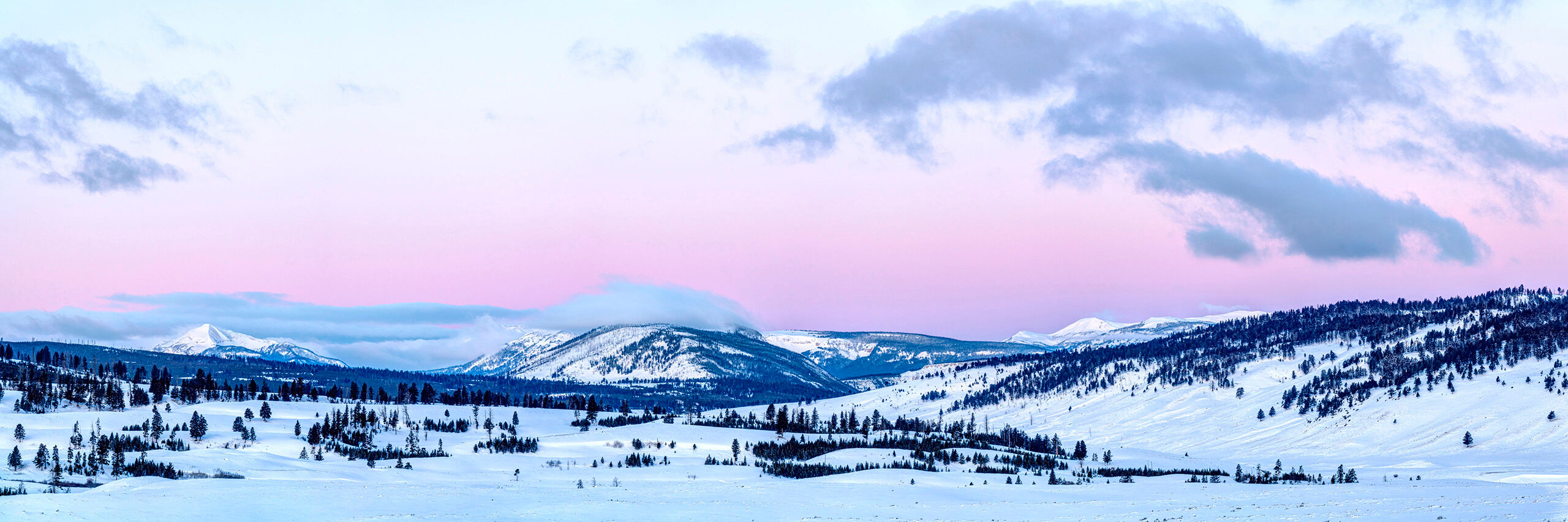 Pastel Morning in Yellowstone Yellowstone National Park is a wonderful place to visit any time of year. My first winter visit to Yellowstone was in early 2020...